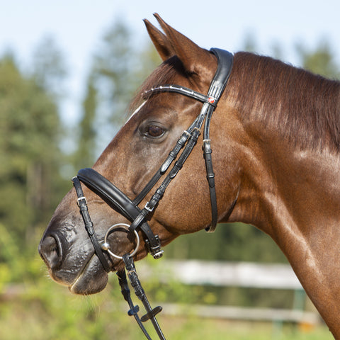 Kieffer Ultrasoft® Economy II Snaffle Bridle