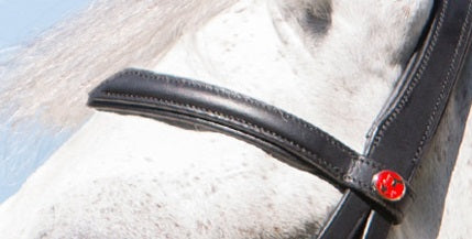 BROWBAND PLAIN