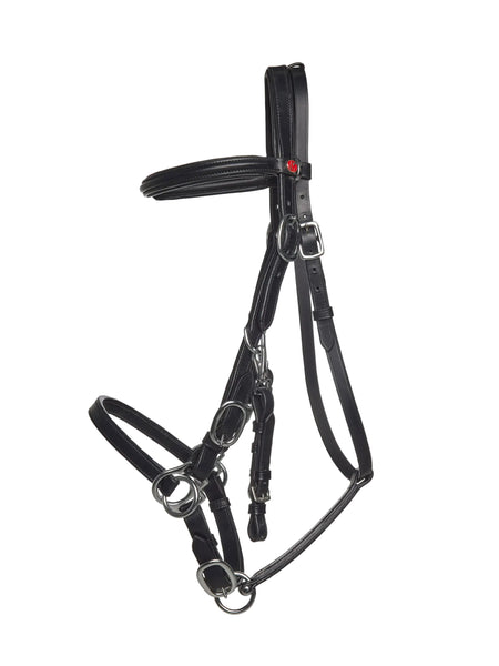 Kieffer LK-Kombi-Bridle
