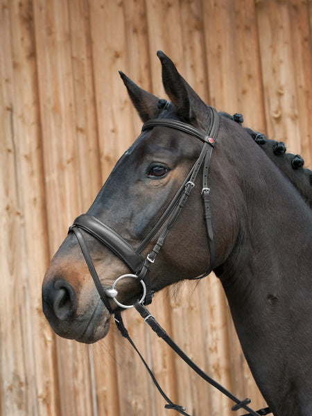 Kieffer Ergonomic Line III Snaffle Bridle