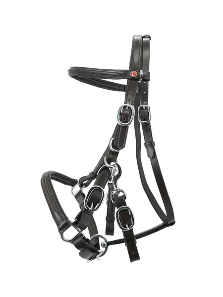Kiffer Trail Walking Snaffle Bridle
