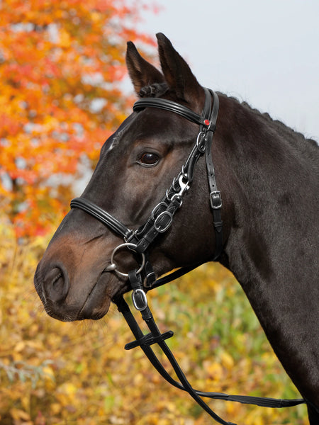 Kiffer Trail Walking Snaffle Bridle