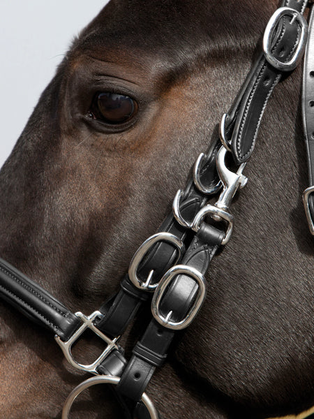 Kiffer Trail Walking Snaffle Bridle