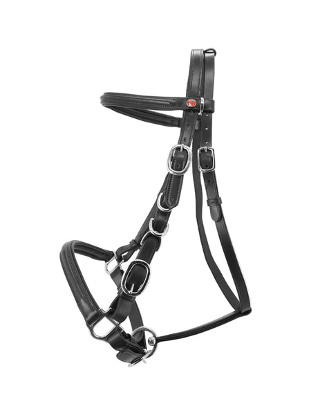 Kiffer Trail Walking Snaffle Bridle