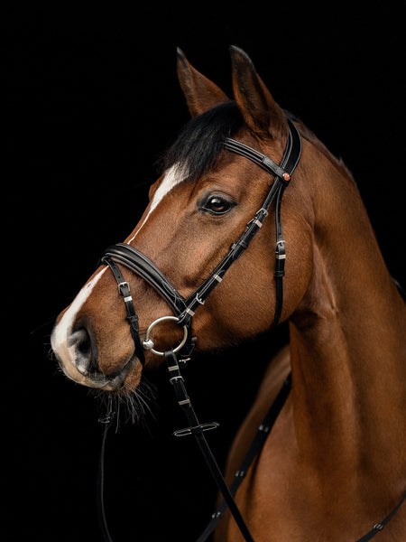 Kieffer Vera Snaffle Bridle