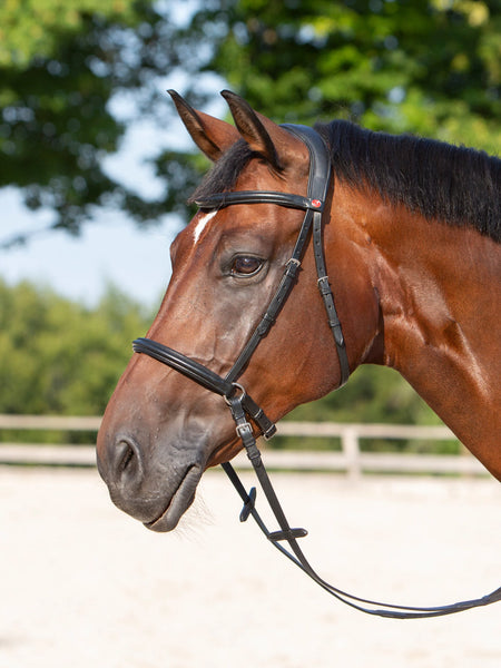 Kieffer Kendra Ultrasoft Bitless Snaffle Bridle