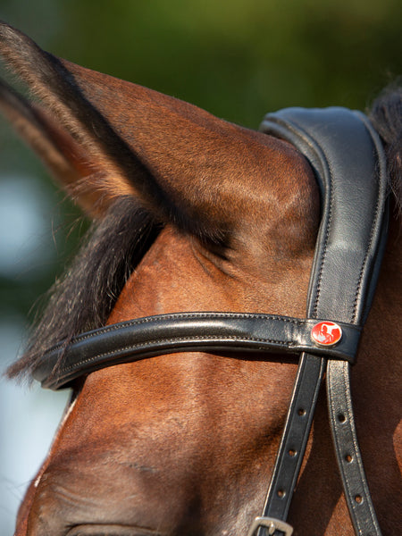 Kieffer Kendra Ultrasoft Bitless Snaffle Bridle