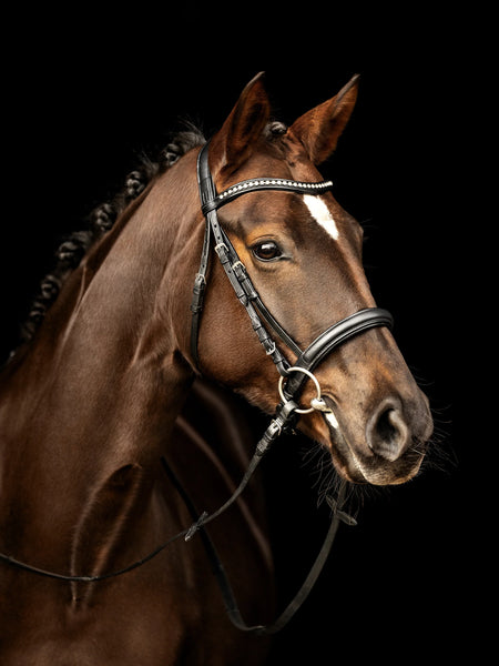 Kieffer Sue Ultrasoft Snaffle Bridle, Crystal Browband