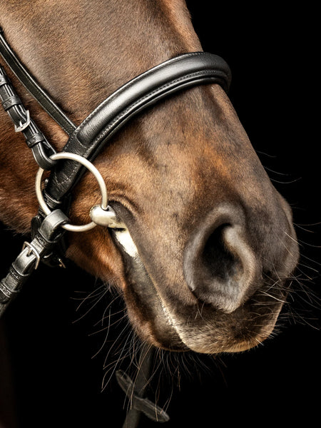 Kieffer Sue Ultrasoft Snaffle Bridle, Crystal Browband