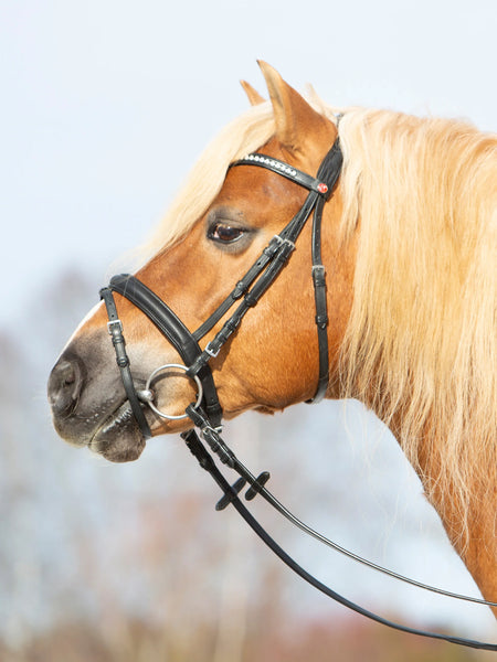Kieffer Haflinger Ultrasoft Snaffle Bridle, Crystal Browband