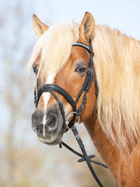 Kieffer Haflinger Ultrasoft Snaffle Bridle, Crystal Browband