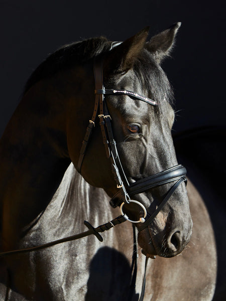Kieffer Priya Snaffle Bridle
