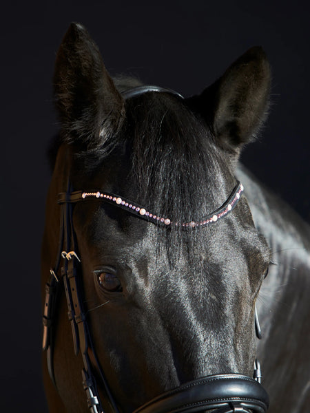 Kieffer Priya Snaffle Bridle