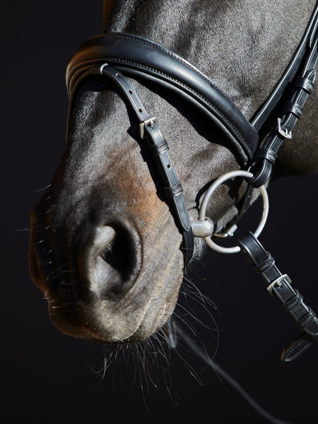 Kieffer Priya Snaffle Bridle