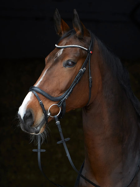 Kieffer Stella Ultrasoft Snaffle Bridle