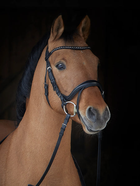 Kieffer Ilona Snaffle Bridle, black & white Swarovski® Crystals