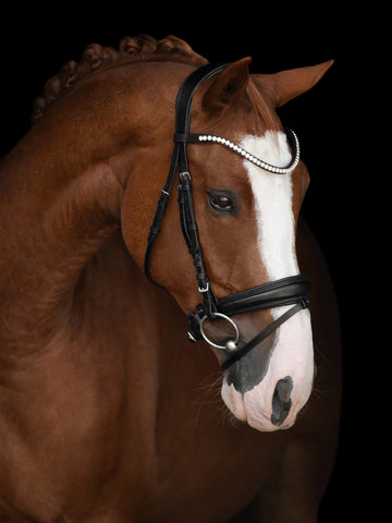 Kieffer Victoria 2 Snaffle Bridle