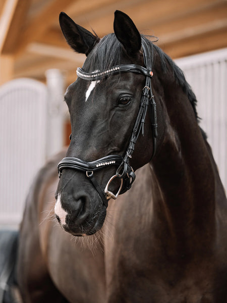 Kieffer Luna Ultrasoft® Snaffle Bridle