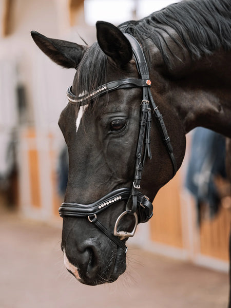 Kieffer Luna Ultrasoft® Snaffle Bridle