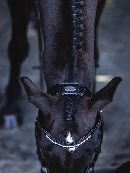 Kieffer Luna Ultrasoft® Snaffle Bridle