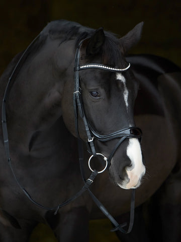 Kiffer Amy Shine Snaffle Bridle