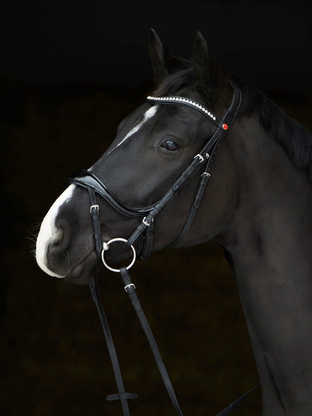 Kiffer Amy Shine Snaffle Bridle