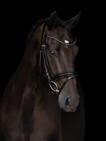 Kieffler Grace Snaffle Bridle