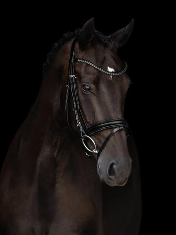 Kieffler Grace Snaffle Bridle