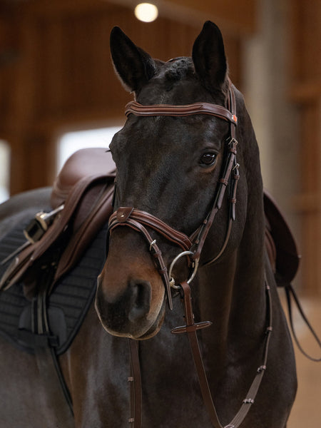 Kieffer Palmanova Snaffle Bridle