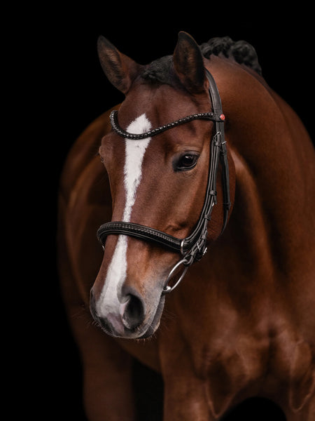 Kieffer Amy Bitless Ultrasoft Snaffle Bridle