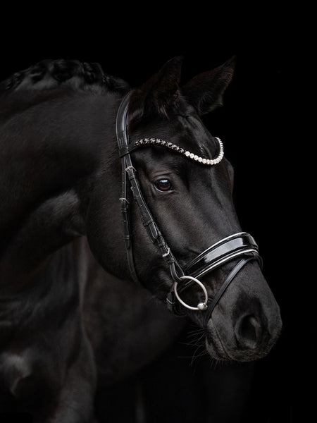 Kieffer Nora Snaffle Bridle