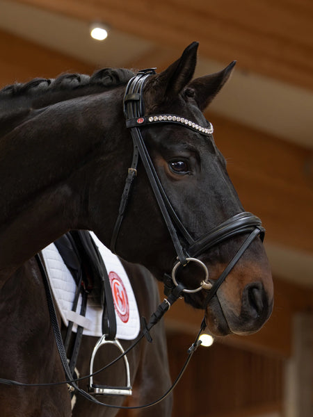 Kieffer Lina Snaffle Bridle