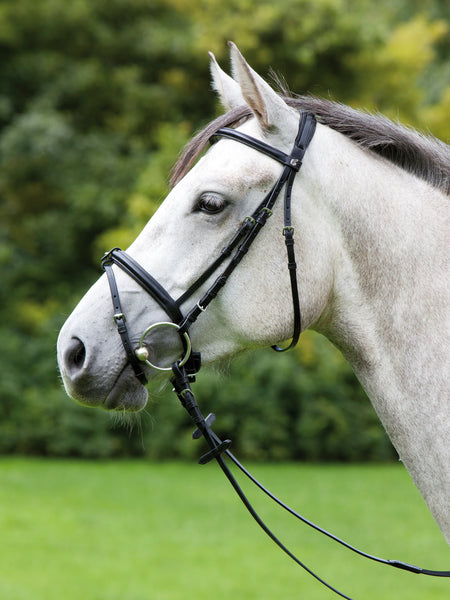 Kieffer Anja Beran Snaffle Bridle