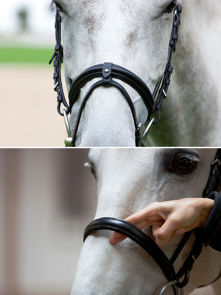Kieffer Anja Beran Snaffle Bridle