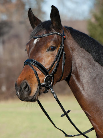 Kieffler Young Profi Snaffle Bridle