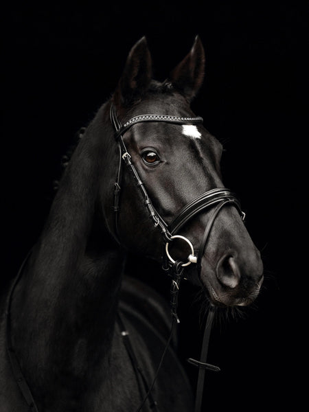 Kieffer Comfort Paris Snaffle Bridle