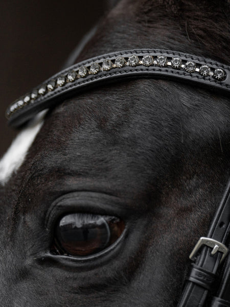 Kieffer Comfort Paris Snaffle Bridle