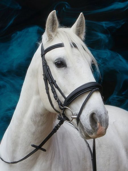 Kieffer Essentials Lara Snaffle Bridle, Raised Leather Browband