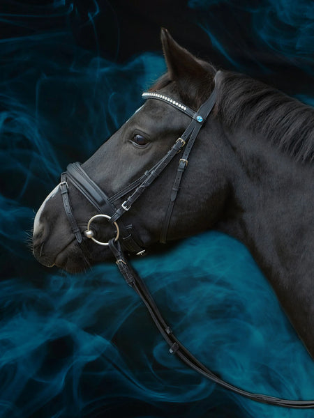 Kieffer Essentials Lara Snaffle Bridle