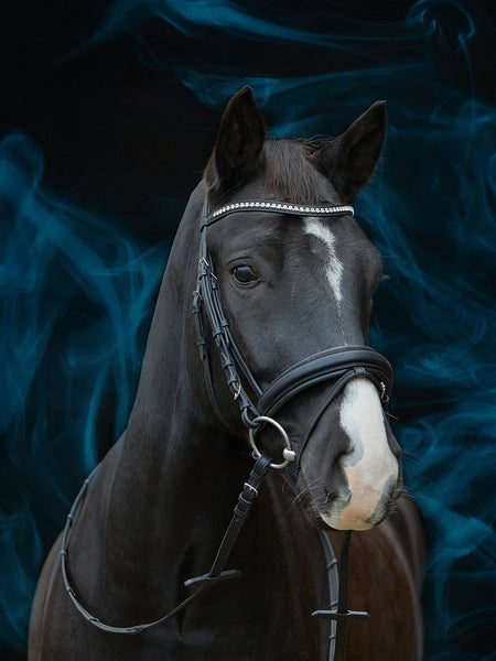 Kieffer Essentials Lara Snaffle Bridle