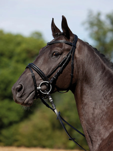 Kieffer Comfort Verona Snaffle Bridle
