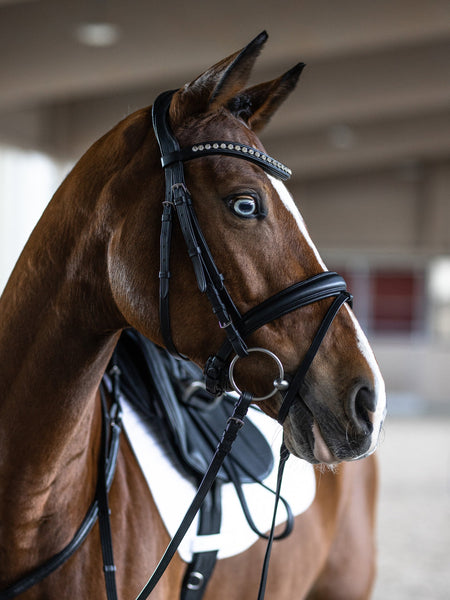 Kieffer Essentials Xia Snaffle Bridle