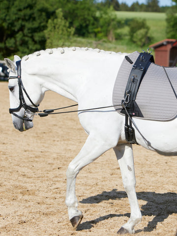 Kieffer Flexifit Secu Pro Surcingle