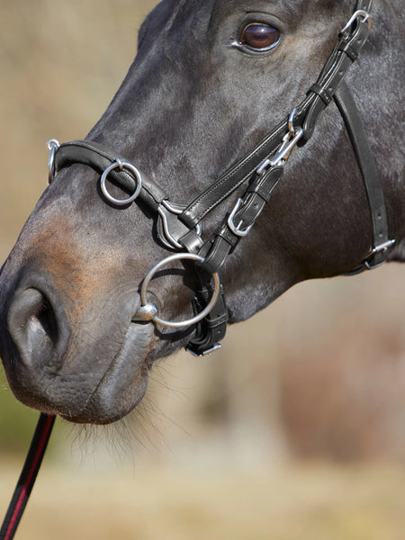 Kieffer Ultrasoft Cavesson Lunge
