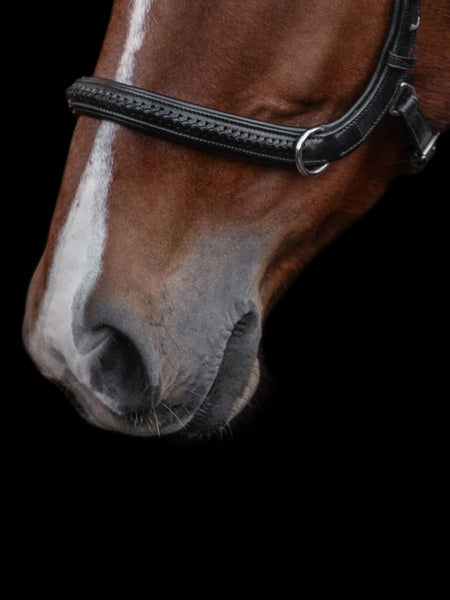Kieffer Amy Bitless Ultrasoft Snaffle Bridle