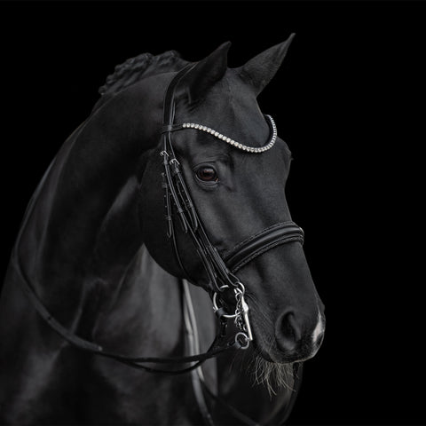 Kieffer Grace Double Bridle