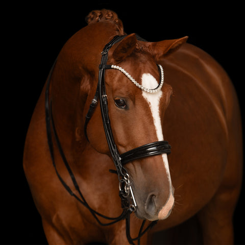 Kieffer Faye Double Bridle