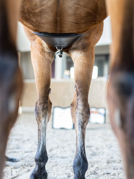 Kieffer Ultrasoft Belly Guard Saddle Girth