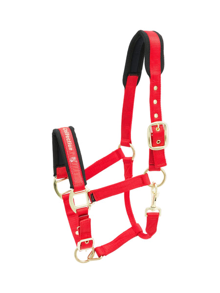 Kieffer Collection Nylon Halter