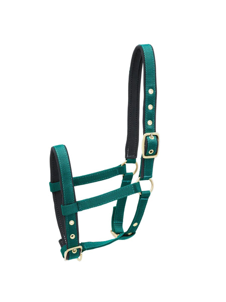 Kieffer Nylon-Foal Collection Halter